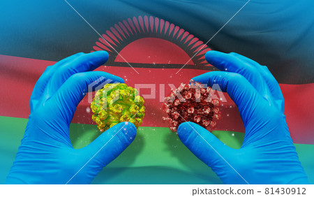 Medical virus molecular concept with flag of Malawi. 3D illustration. 81430912