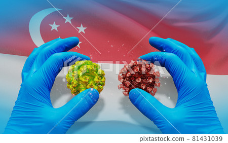 Medical virus molecular concept with flag of Singapore. 3D illustration. 81431039