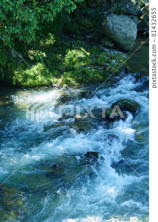 小河流 山間溪流 河道 流經岩石區的河流 小河流 山間溪流 河道 流經岩石區的河流 81432655