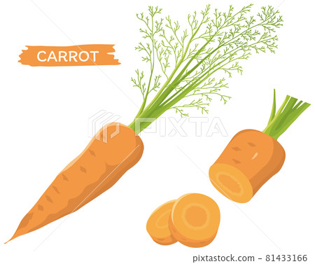 carrot carrot 81433166