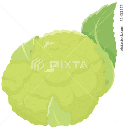 Green cauliflower 81433373