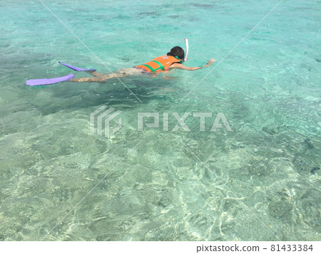 浮潛 浮潛 81433384