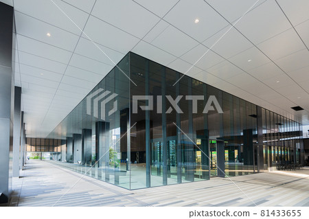 川崎三角洲 81433655