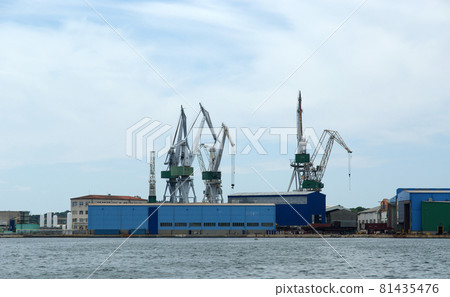 Marine cargo port. Cranes. Pula, Croatia 81435476