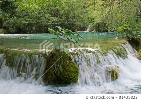 mountain flowing stream or wild water amaongst the stones 81435822