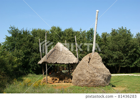 Rural landscape, farm yard with a haystack Rural landscape, farm yard with a haystack 81436283