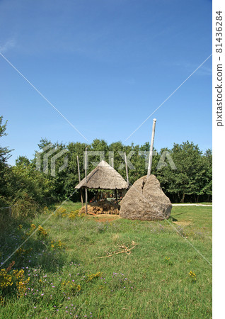 Rural landscape, farm yard with a haystack Rural landscape, farm yard with a haystack 81436284