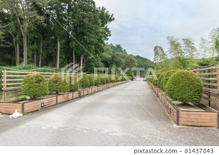 Aikawa Park entrance 81437843