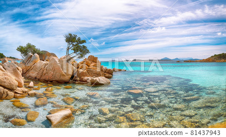 Enchanting view of Capriccioli beach in Costa Smeralda. 81437943