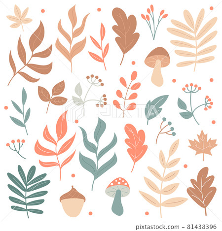 Big set of Autumn elements - mushrooms and plants - on a white background 81438396