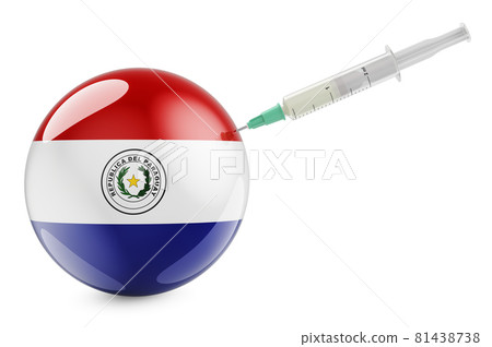 Syringe with Paraguayan flag. Vaccination in Paraguay concept, 3D rendering Syringe with Paraguayan flag. Vaccination in Paraguay concept, 3D rendering 81438738