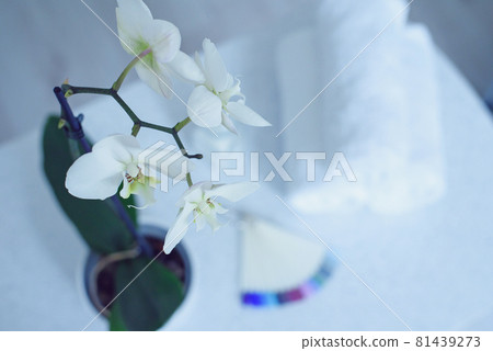 Beautiful white orchid, nail palette and towels in a beauty salon. Beautiful white orchid, nail palette and towels in a beauty salon. 81439273