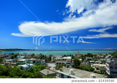 Townscape of Onna Village, Okinawa 81439590