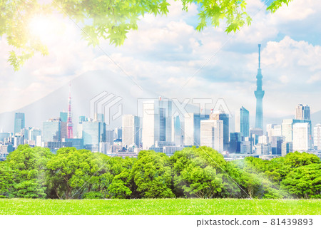 Cityscape and fresh green Cityscape and fresh green 81439893