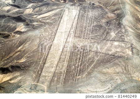 Aerial View of Palpa Geoglyphs in Peru 81440249