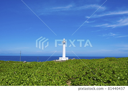 沖繩殘光點燈塔 81440437