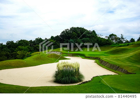 St Lakes Golf Club 2 81440495