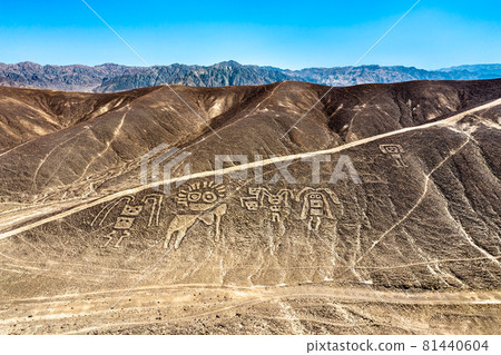 Aerial View of Palpa Geoglyphs in Peru Aerial View of Palpa Geoglyphs in Peru 81440604