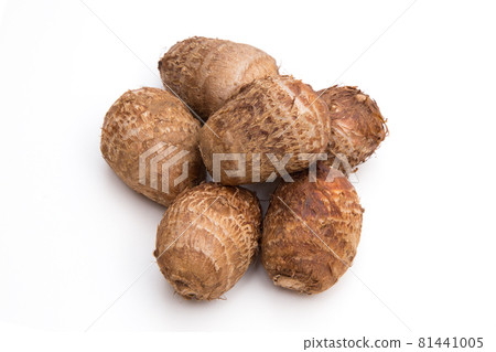 Hayao Ishikawa Taro 81441005