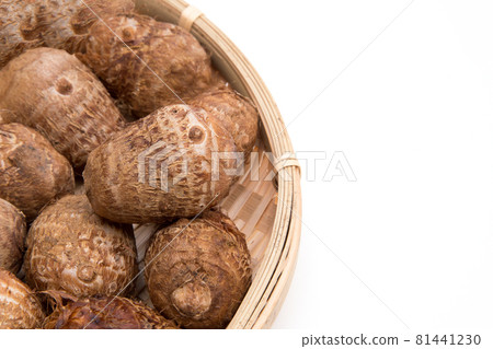 Hayao Ishikawa Taro Hayao Ishikawa Taro 81441230