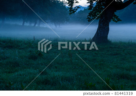 Kayanodairakogen fog Kayanodairakogen fog 81441319