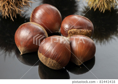 栗子秋意 81441418