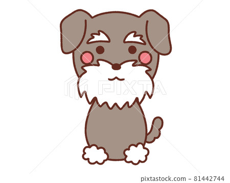 Dog_Miniature Schnauzer Dog_Miniature Schnauzer 81442744