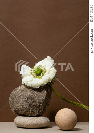 Abstract nature scene with composition of stones and dry branch. Neutral beige background for cosmetic, beauty product branding, identity and packaging. Natural pastel colors. Abstract nature scene with composition of stones and dry branch. Neutral beige background for cosmetic, beauty product branding, identity and packaging. Natural pastel colors. 81443183
