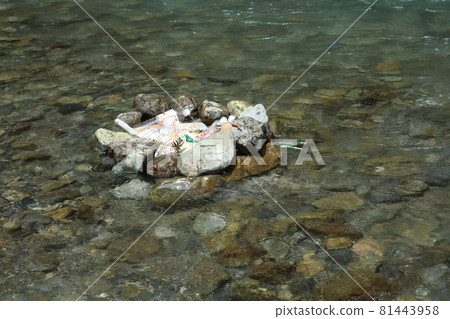 Garbage dumped in the river 81443958