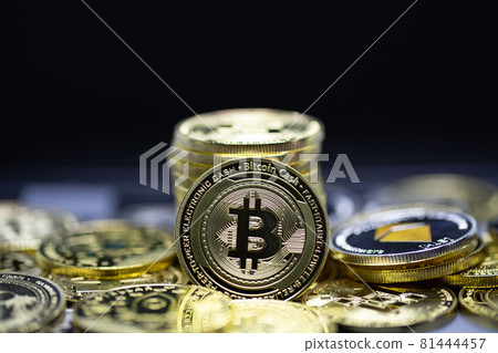 Cryptocurrency bitcoin the future coin, new virtual money. The growth rate of the gold coin is the important currency for pay everything in the global world future. 81444457