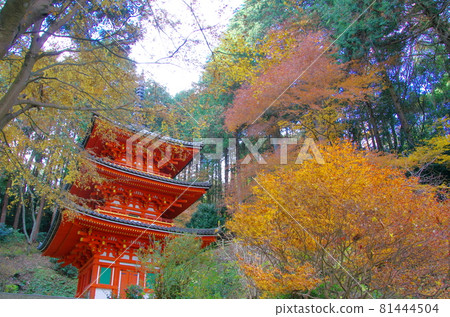 Iwafuneji Three-storied Pagoda (Kizugawa City, Kyoto Prefecture) Iwafuneji Three-storied Pagoda (Kizugawa City, Kyoto Prefecture) 81444504