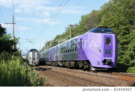 Furano Lavender Express Kiha 261系列薰衣草編隊 81444567