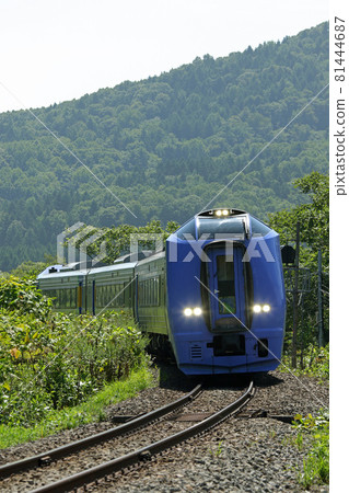 Limited express Sarobetsu running in the green Limited express Sarobetsu Soya Main Line 81444687