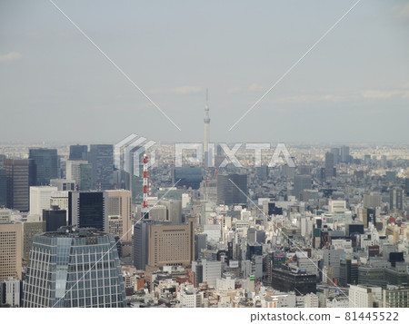 Tokyo Tower Tokyo Tower 81445522