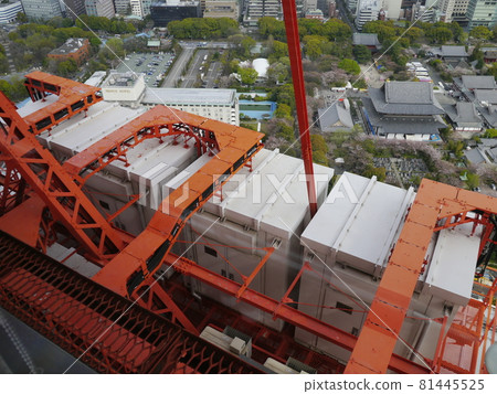 Tokyo Tower Tokyo Tower 81445525