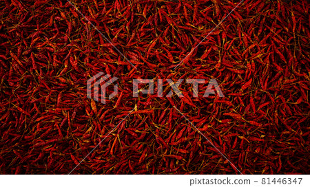 Dried red hot chilli texture background 81446347