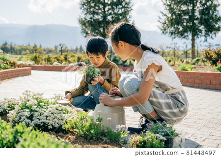 Gardening / Gardening / Slow Life (siblings) Gardening / Gardening / Slow Life (siblings) 81448497