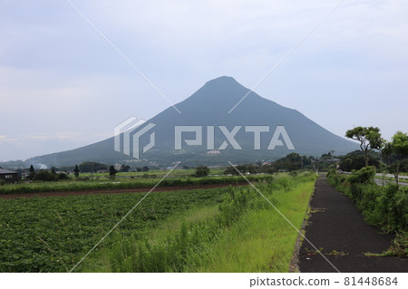開聞岳火山是指宿市的一座名為薩摩富士的名山，在黃昏時被染成淡淡的顏色，在山村中展開了富饒的田園風光。 81448684