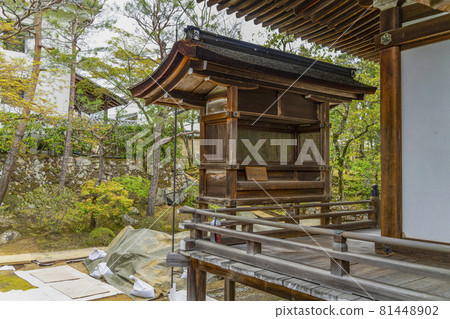 春天的總寺——仁和寺 春天的總寺——仁和寺 81448902