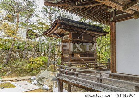 Ninna-ji Temple, the head temple of spring 81448904