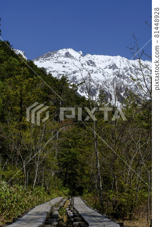 Kamikochi, Nagano Prefecture 81448928