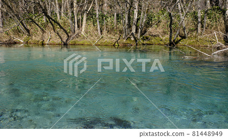 Kamikochi, Nagano Prefecture Kamikochi, Nagano Prefecture 81448949