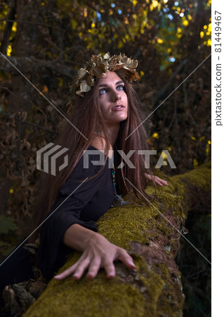 witch in dark forest witch in dark forest 81449467