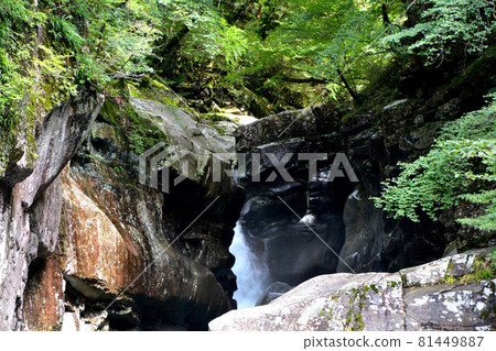Clear stream waterfall in the valley, Toragataki Clear stream waterfall in the valley, Toragataki 81449887
