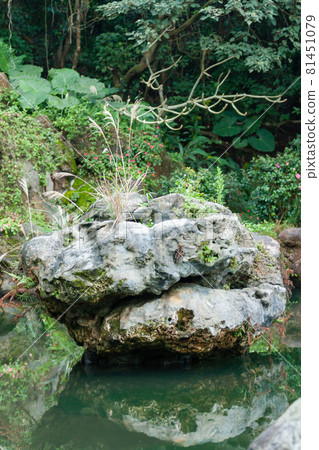 NEW TAIPEI CITY, TAIWAN - JANUARY 27, 2012: Water feature in gardens at Guan Dao Guan Ying Temple NEW TAIPEI CITY, TAIWAN - JANUARY 27, 2012: Water feature in gardens at Guan Dao Guan Ying Temple 81451079