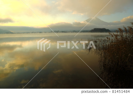 河口湖大石公園的晨景 河口湖大石公園的晨景 81451484