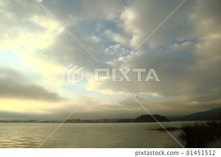 河口湖大石公園的晨景 河口湖大石公園的晨景 81451512