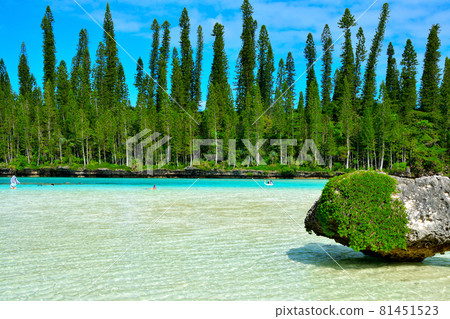 New Caledonia Isle of Pines Piscine Naturel New Caledonia Isle of Pines Piscine Naturel 81451523
