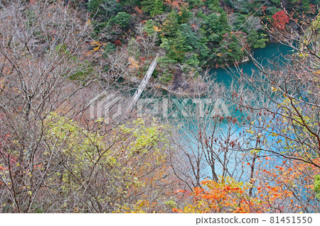 秋天的靜岡縣奧井墨俁峽川本町 秋天的靜岡縣奧井墨俁峽川本町 81451550