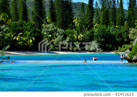 New Caledonia Isle of Pines Canumera Beach New Caledonia Isle of Pines Canumera Beach 81451623